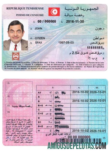 Carta de condução da Tunísia exemplo real